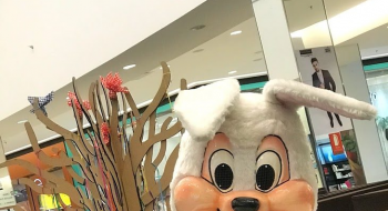 Horário de funcionamento dos shoppings de Goiânia no feriadão